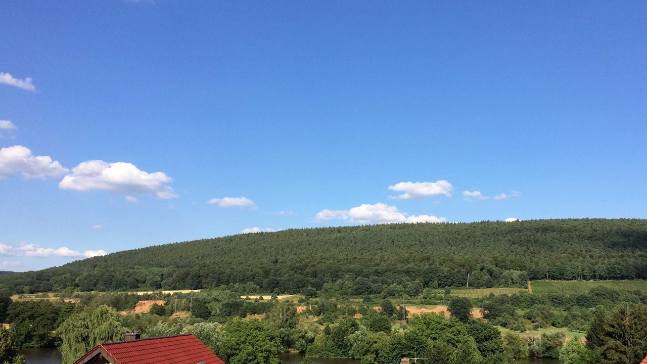Photo of Others in Laudenbach
