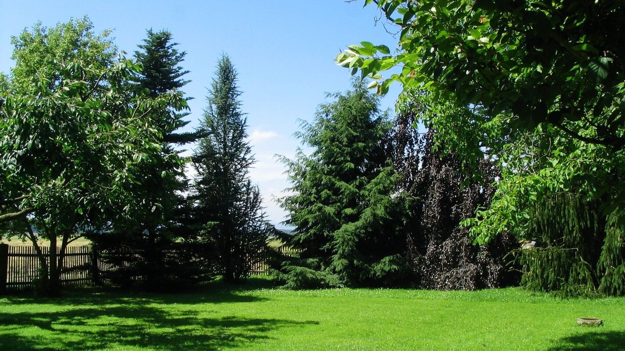 Photo of Outdoor in Lohmen