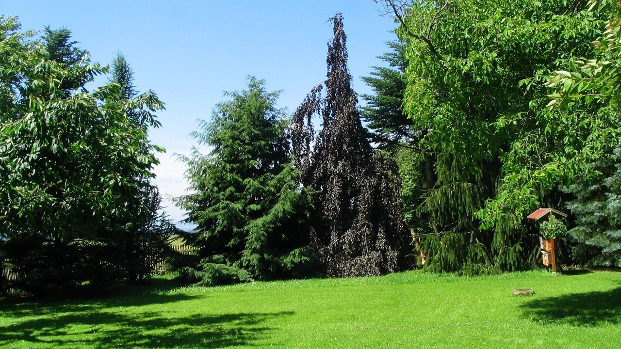 Photo of Outdoor in Lohmen