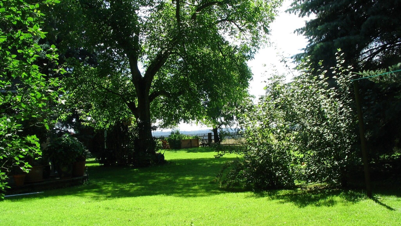 Photo of Outdoor in Lohmen