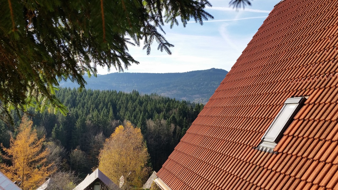 Photo of Others in Feichten