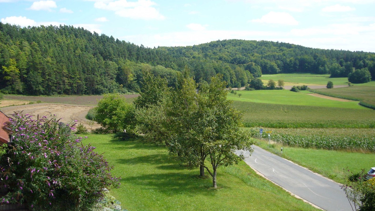 Photo of Others in Pottenstein