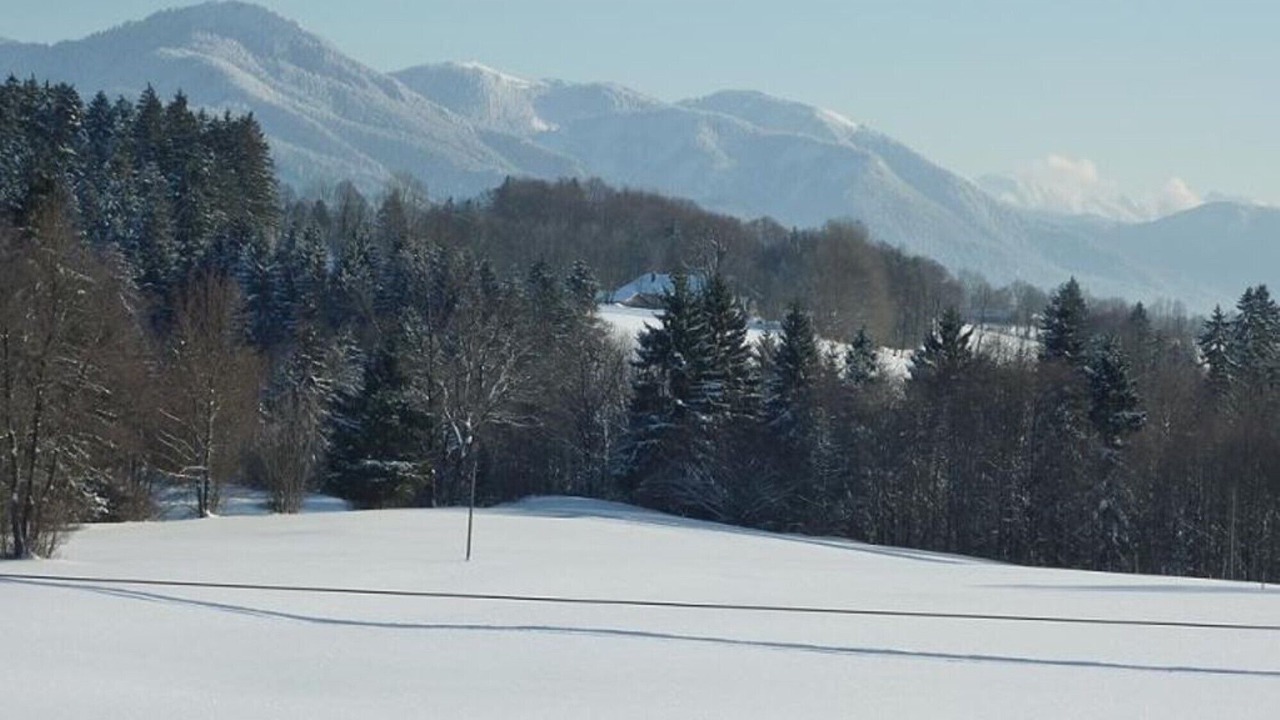 Photo of Others in Wackersberg