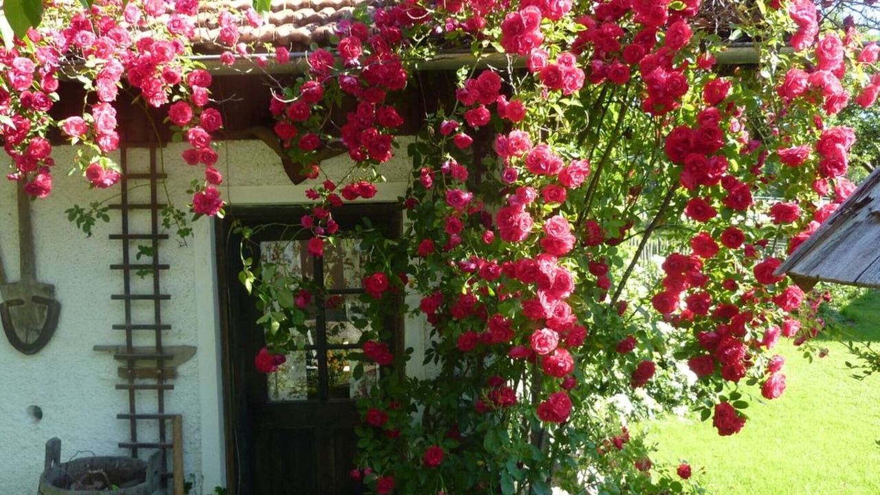 Photo of Outdoor in Wackersberg