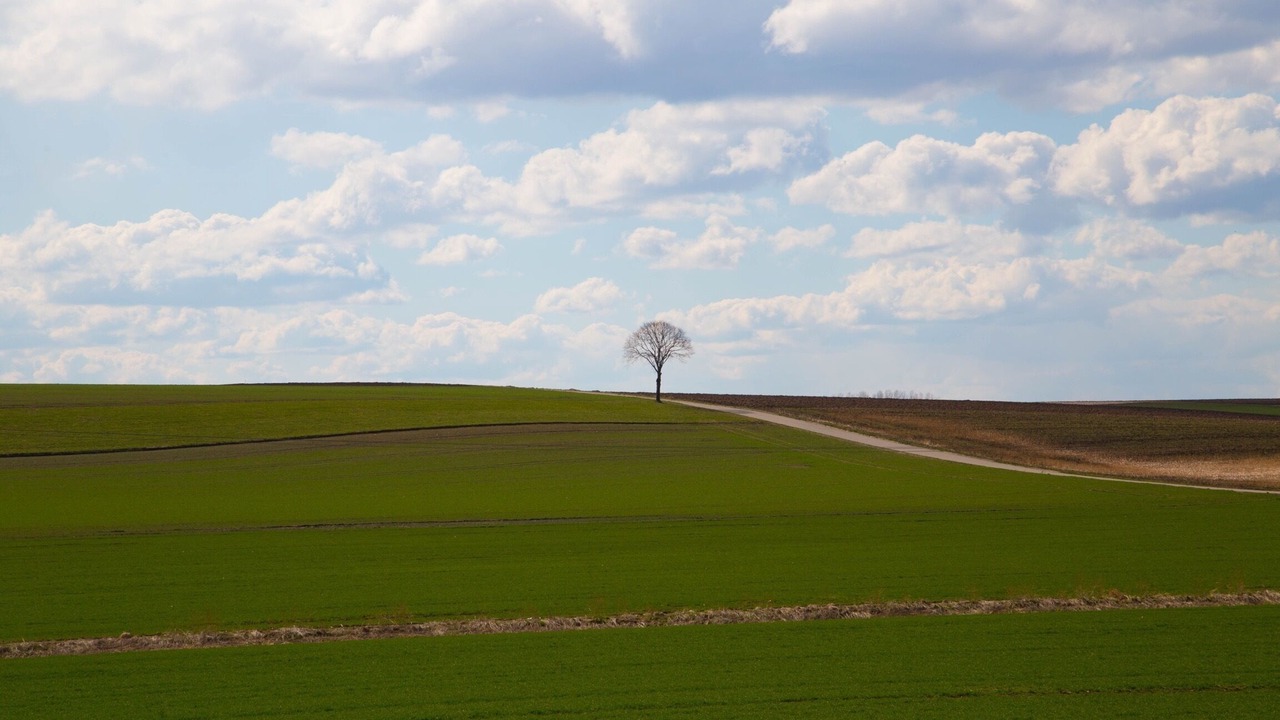 Photo of Others in Weil