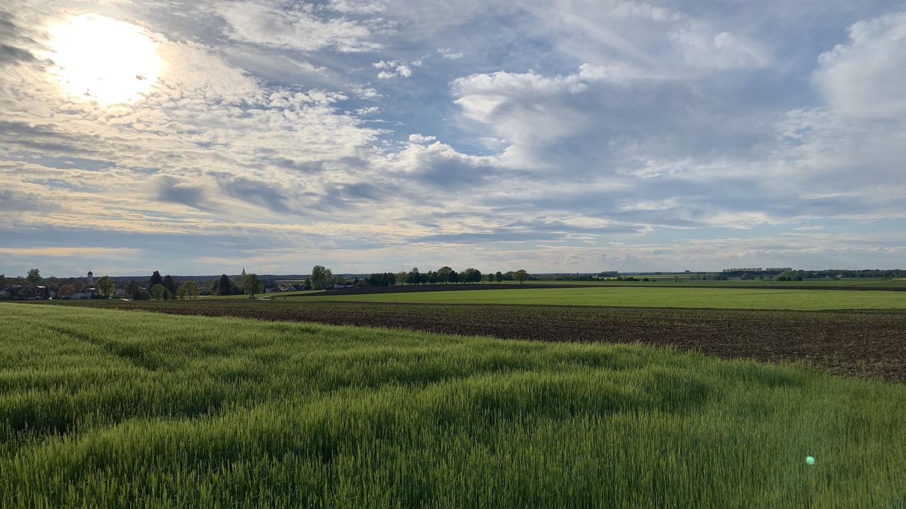 Photo of Others in Weil