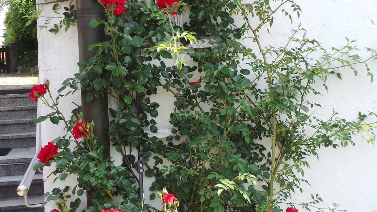 Photo of Outdoor in Pottenstein