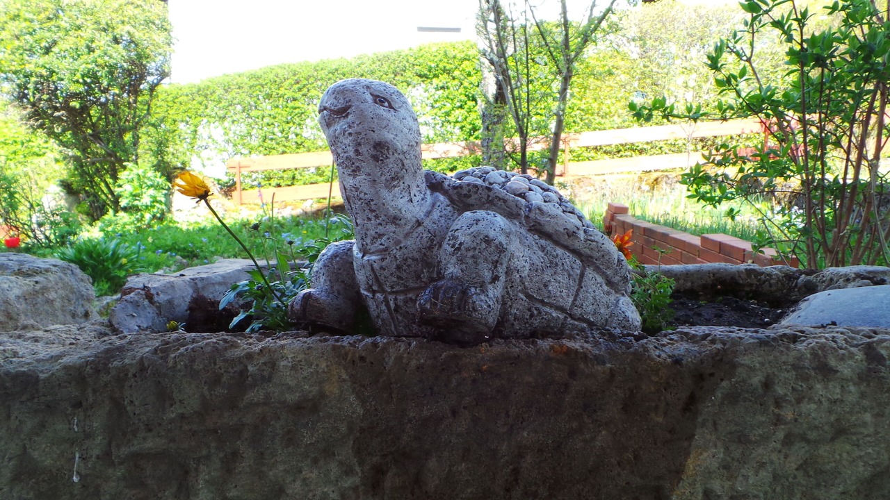 Photo of Outdoor in Pottenstein
