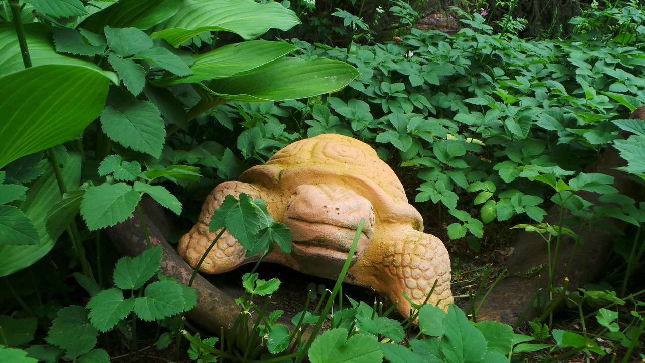 Photo of Outdoor in Pottenstein