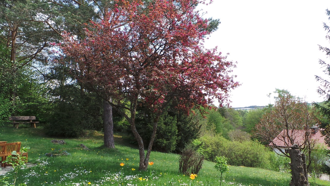 Photo of Outdoor in Pottenstein