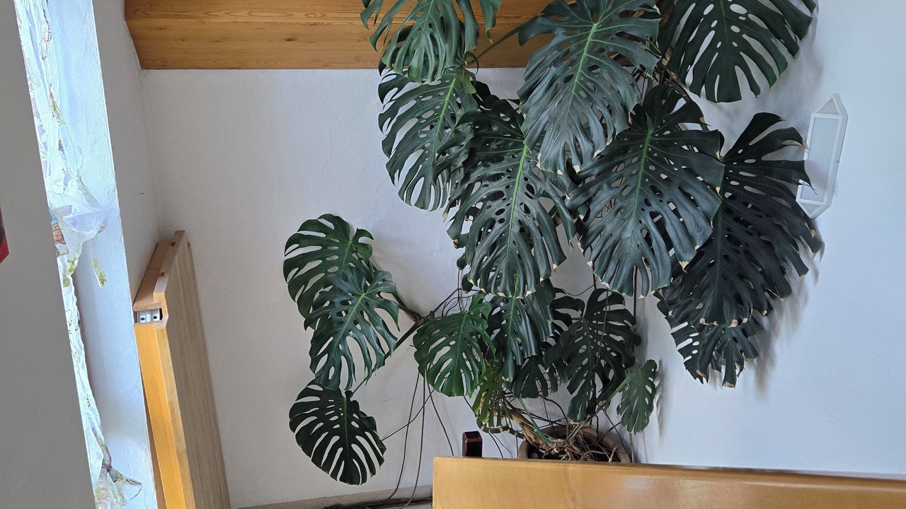 Photo of Others in Pottenstein