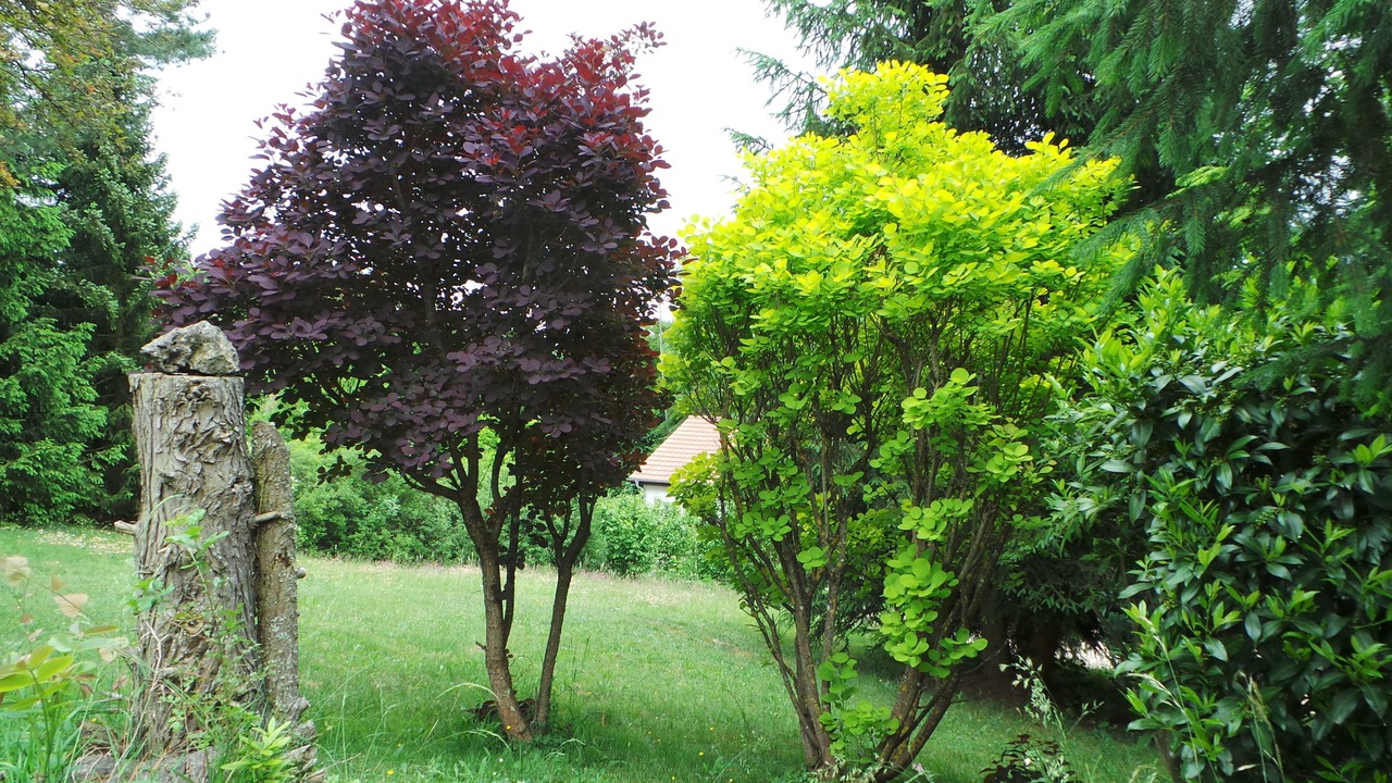 Photo of Outdoor in Pottenstein