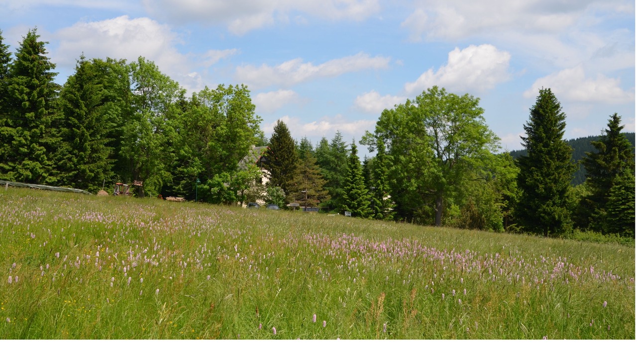 Photo of Outdoor in Altenberg