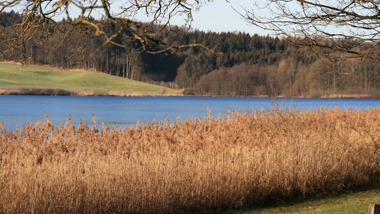 Photo of Outdoor in Ebersberg District