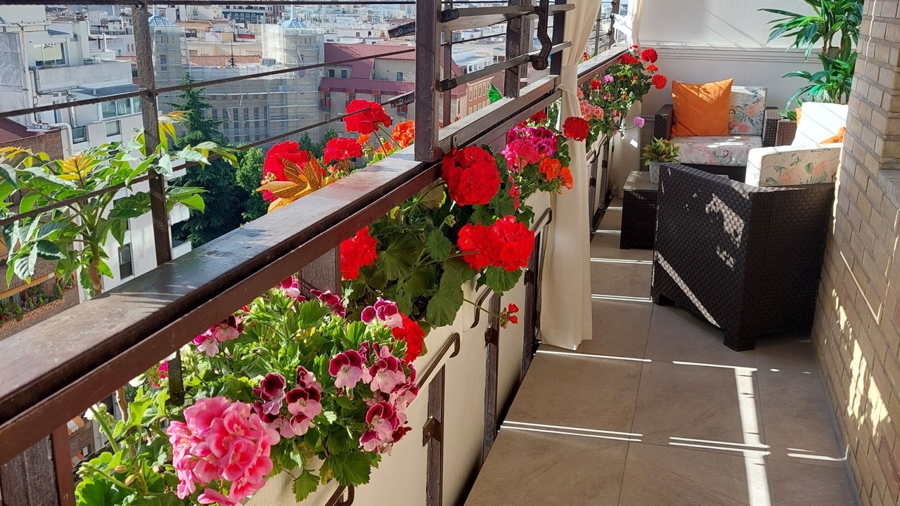 Photo of Outdoor in Milla de Oro