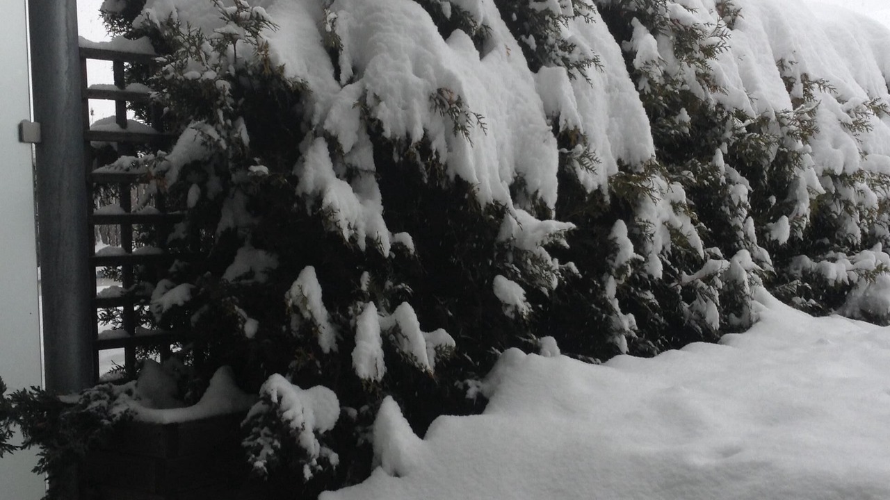 Photo of Outdoor in Pfalzen