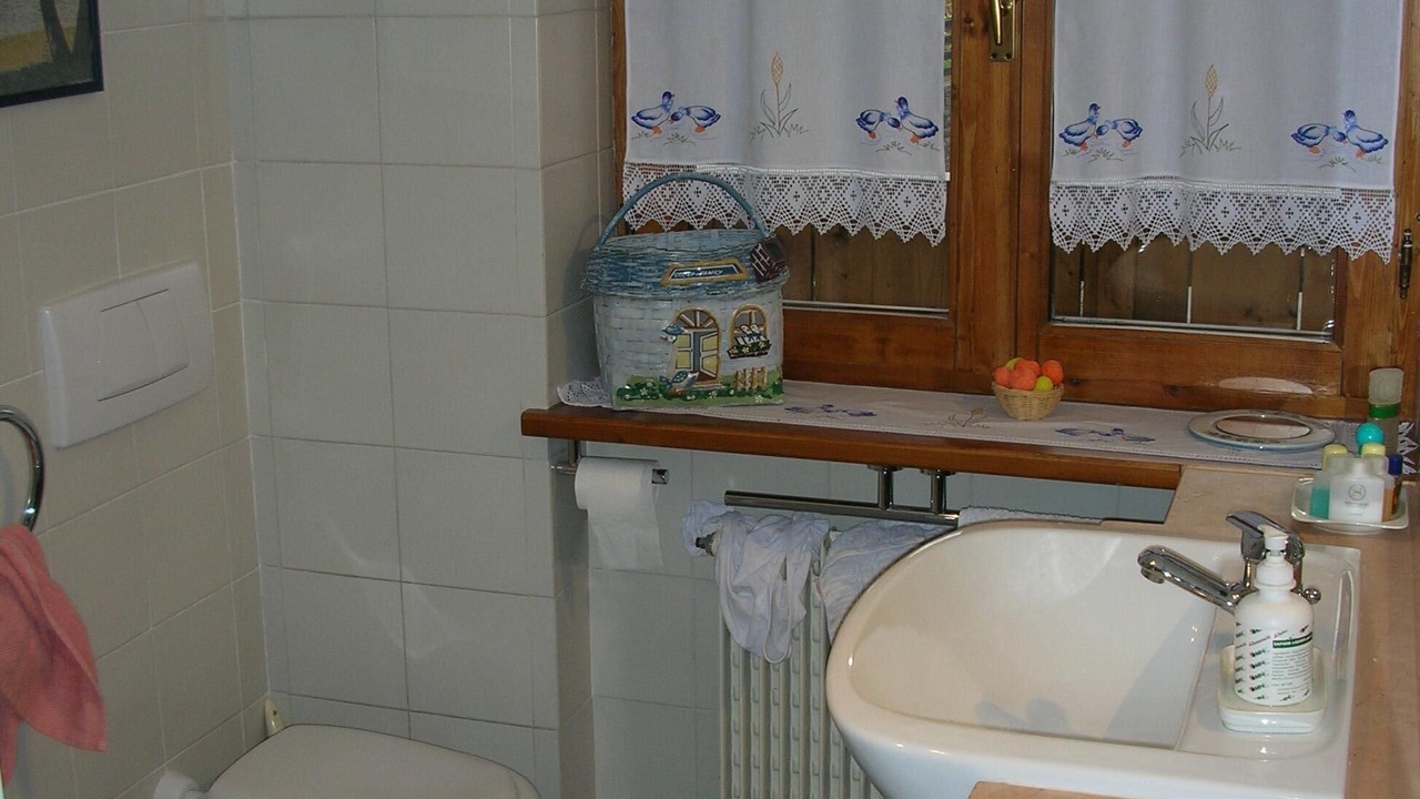Photo of Bathroom in Arabba