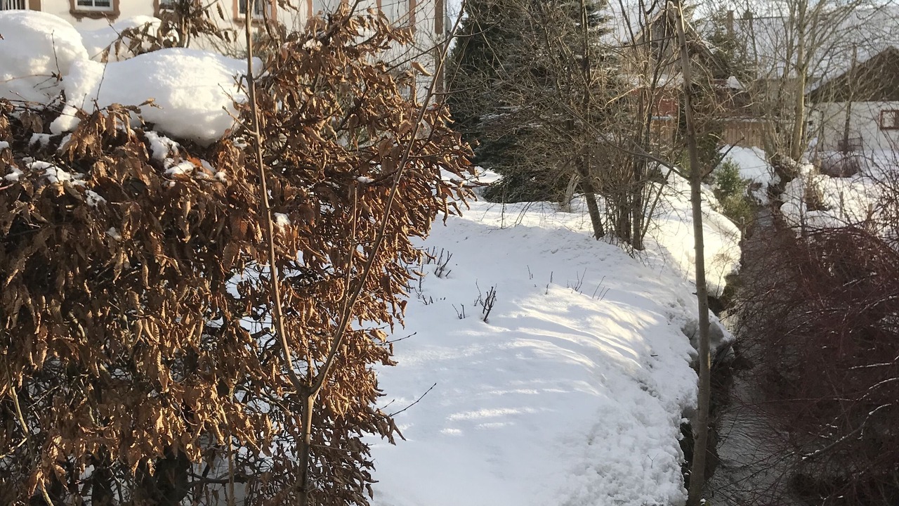 Photo of Outdoor in Gruenenbach