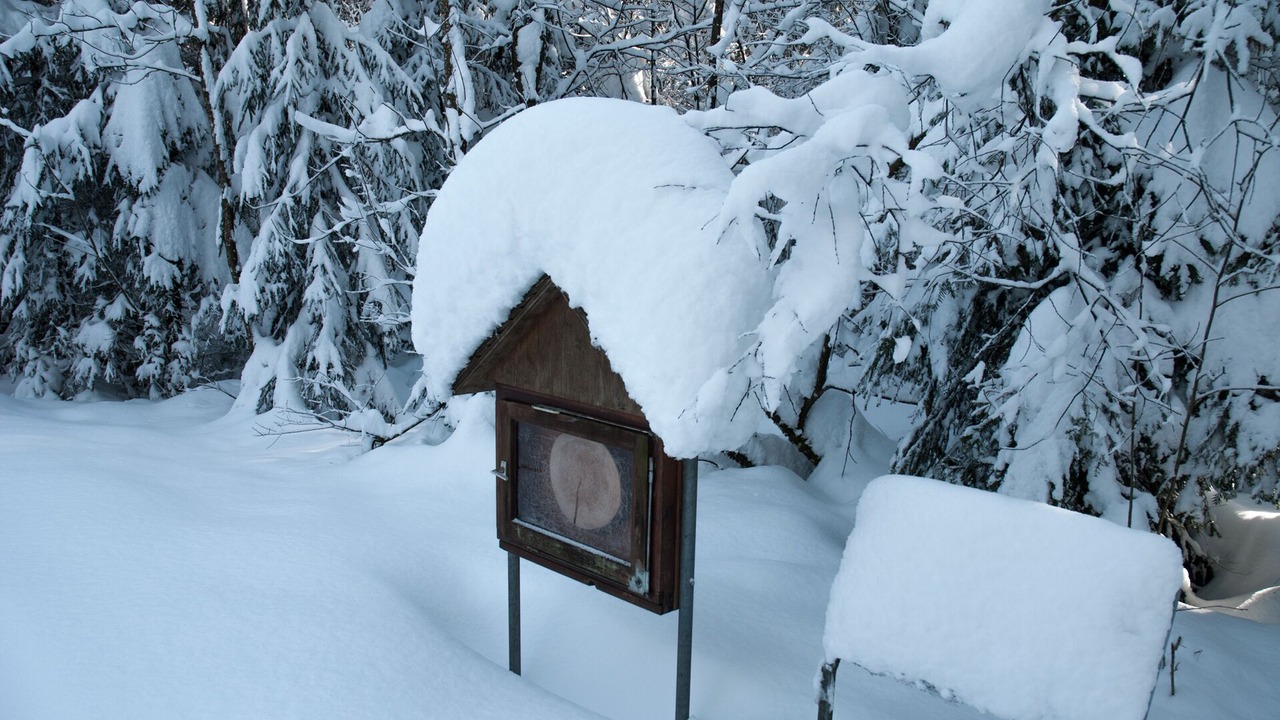 Photo of Outdoor in Christazhofen