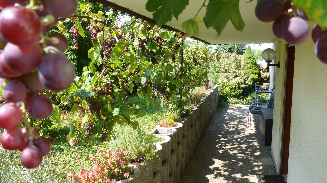 Photo of Patio Balcony in Motzach