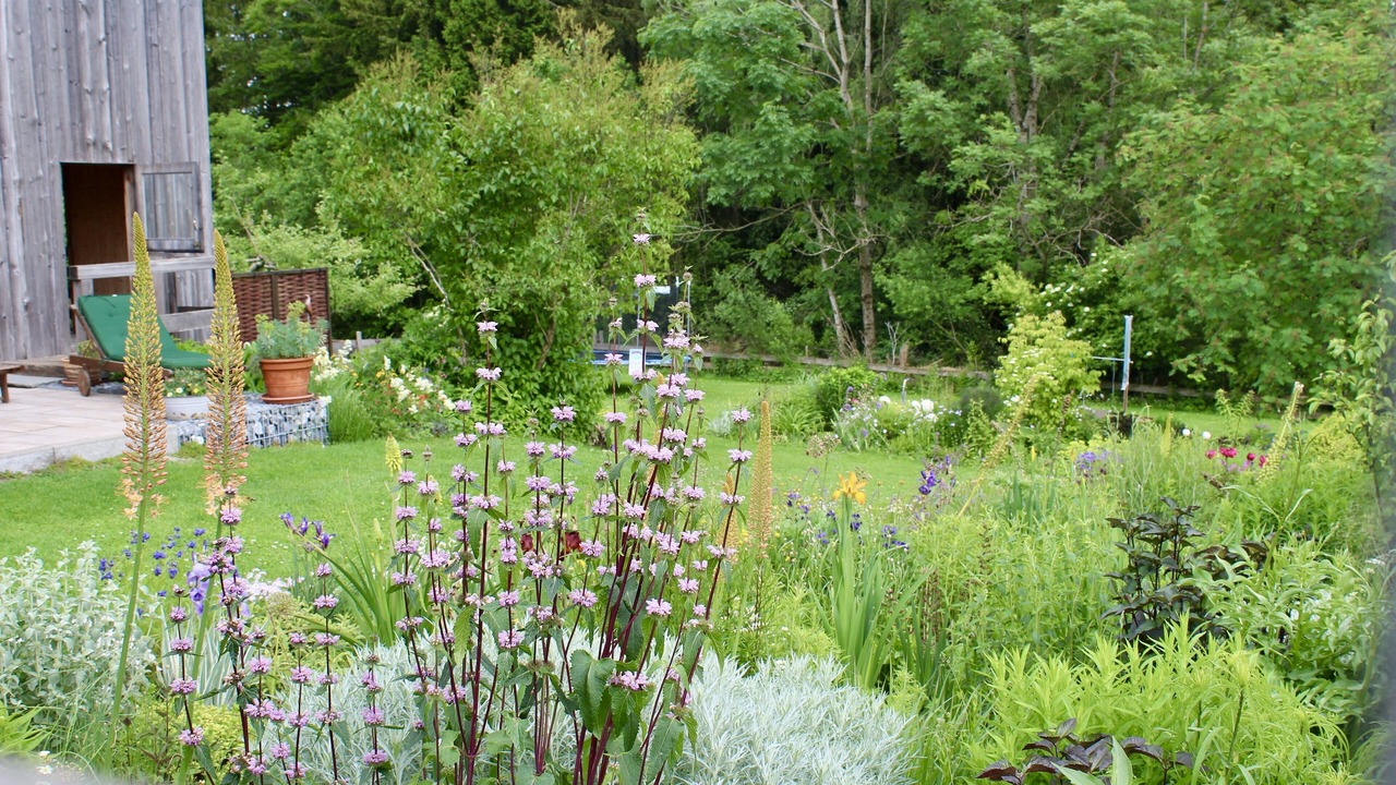 Photo of Outdoor in Niedersonthofen