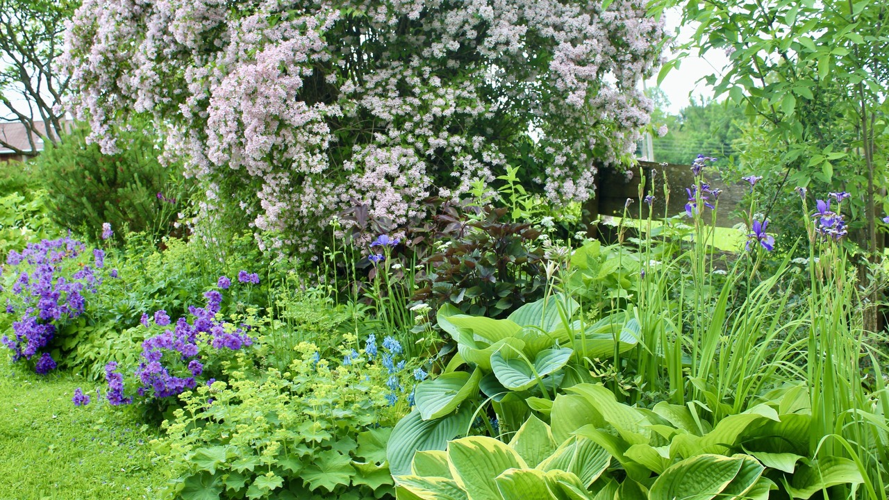 Photo of Outdoor in Niedersonthofen