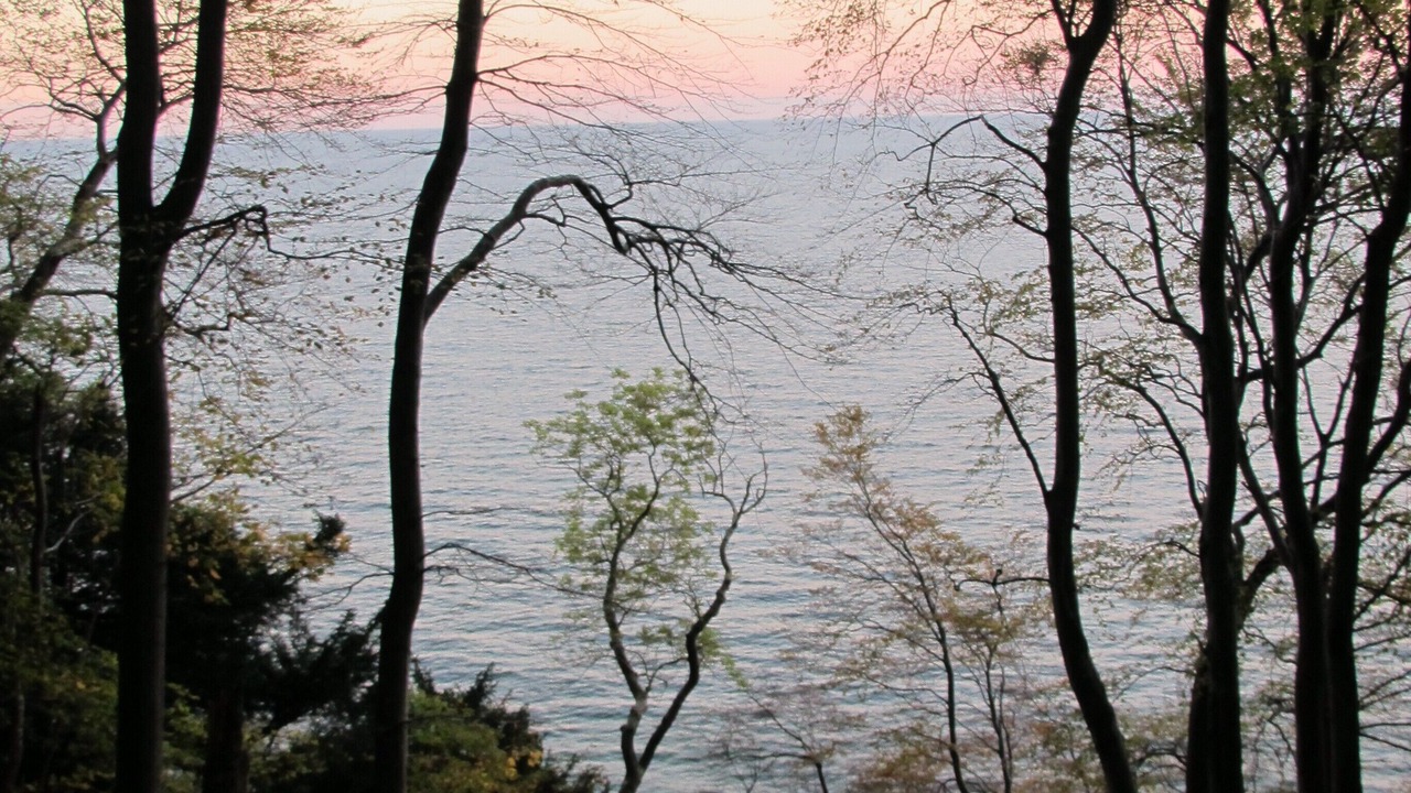 Photo of Others in Ostseebad Baabe