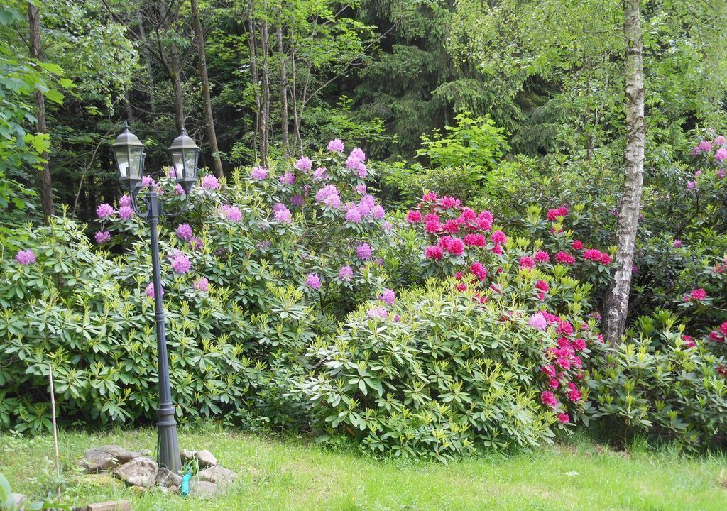Photo of Outdoor in Kollnburg