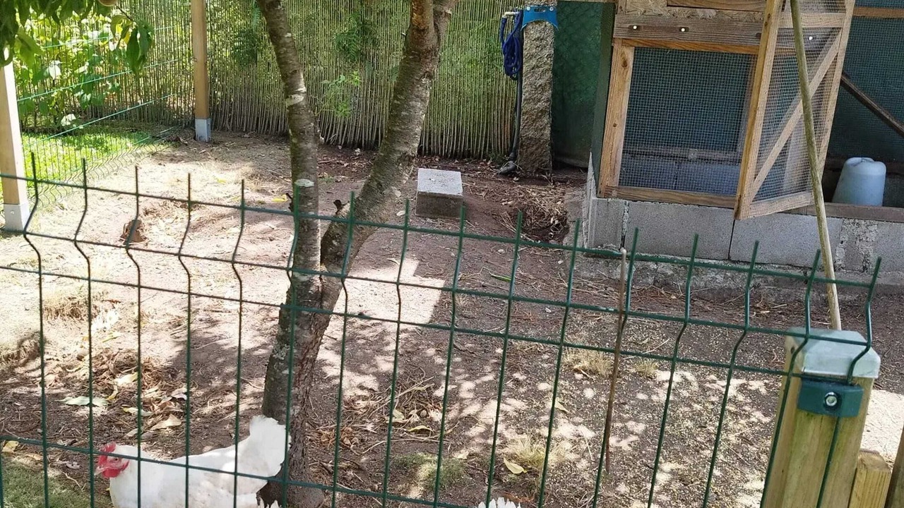 Photo of Outdoor in Rubiaes