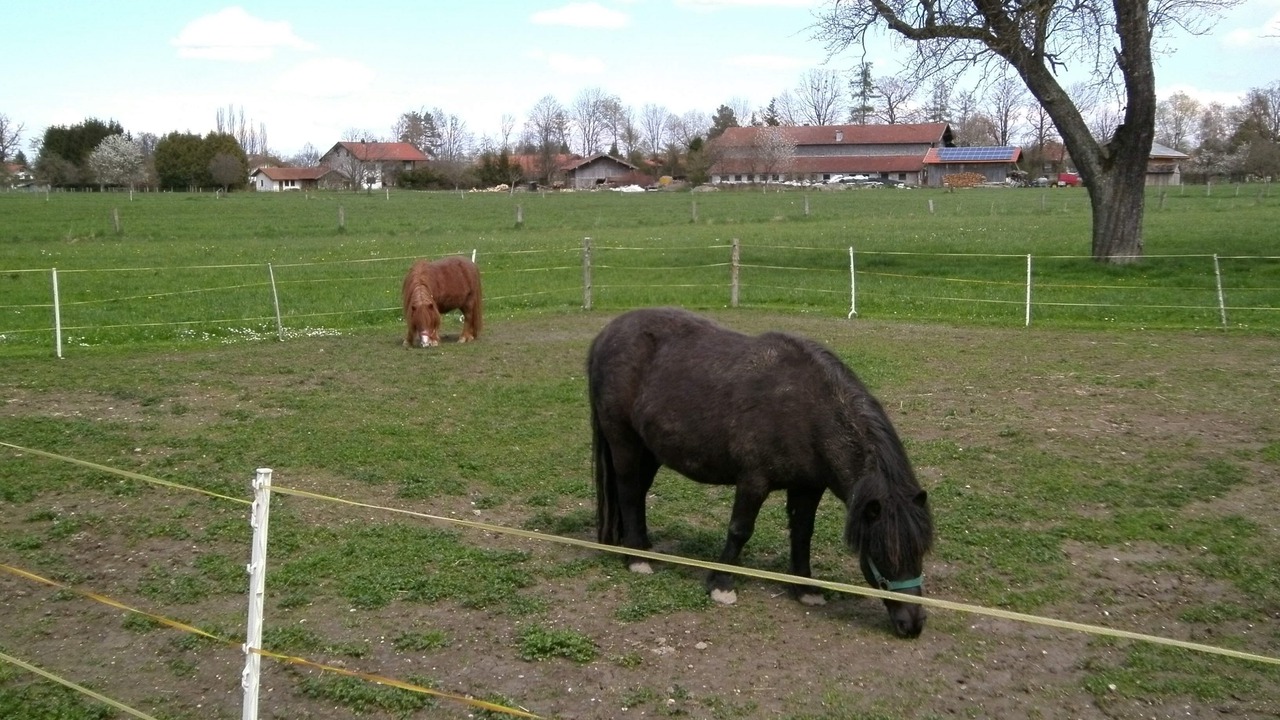 Photo of Others in Luft