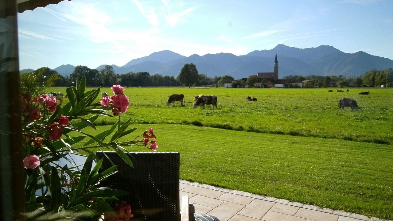 Photo of Outdoor in Luft
