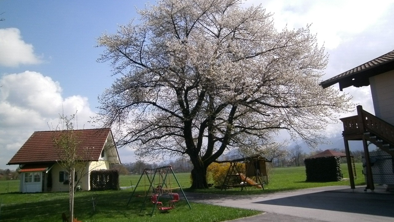 Photo of Outdoor in Luft