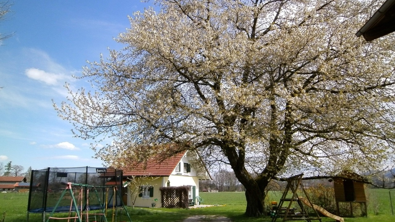 Photo of Others in Luft