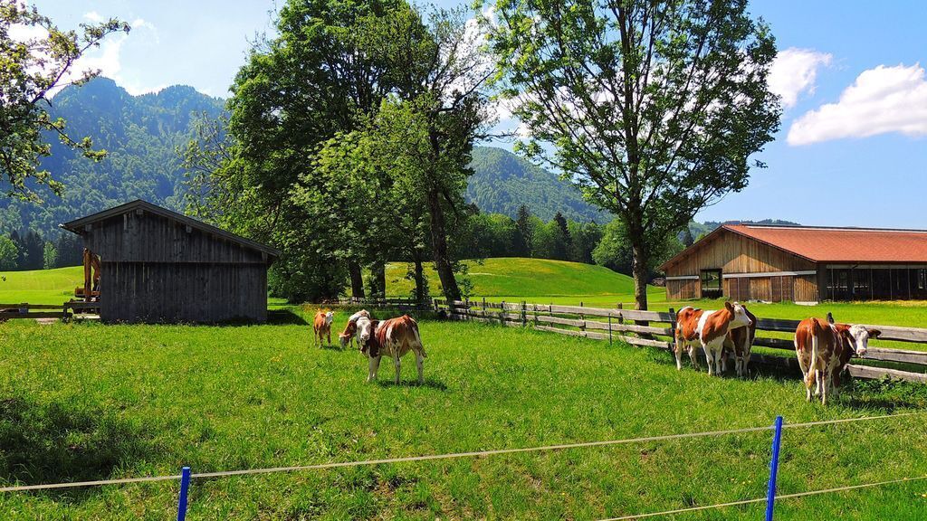 Photo of Outdoor in Lenggries