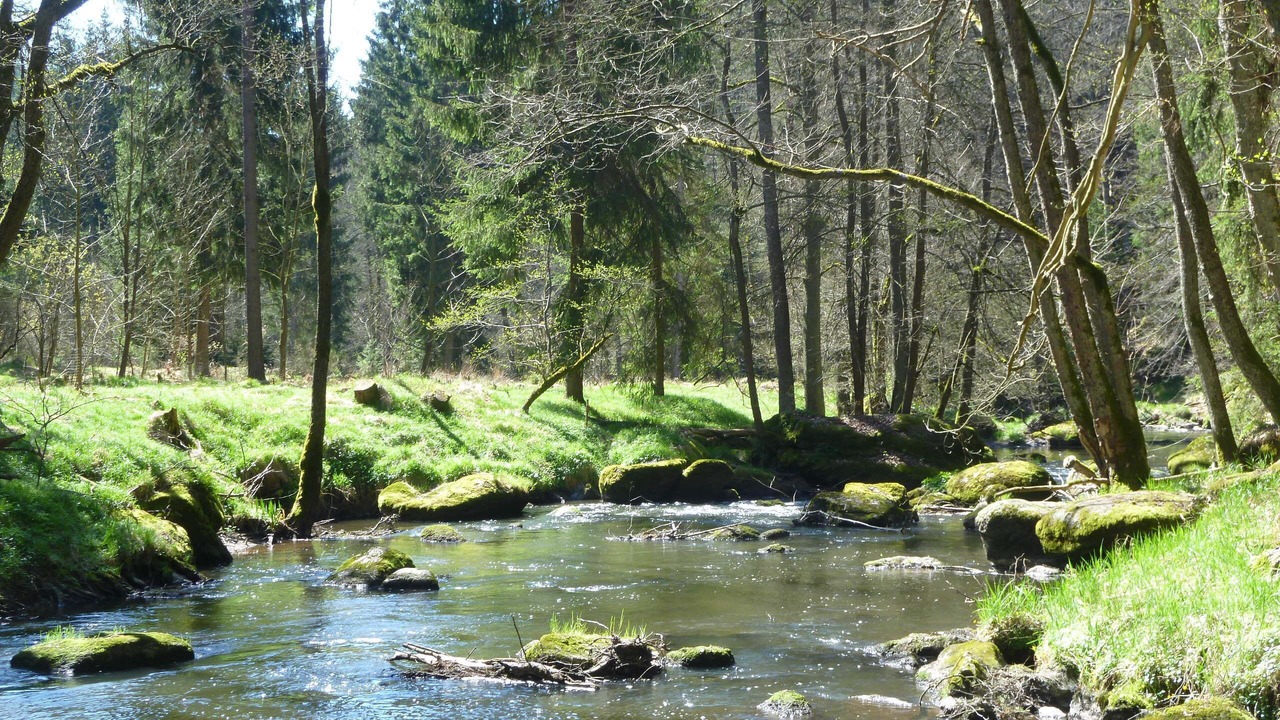 Photo of Outdoor in Barnau