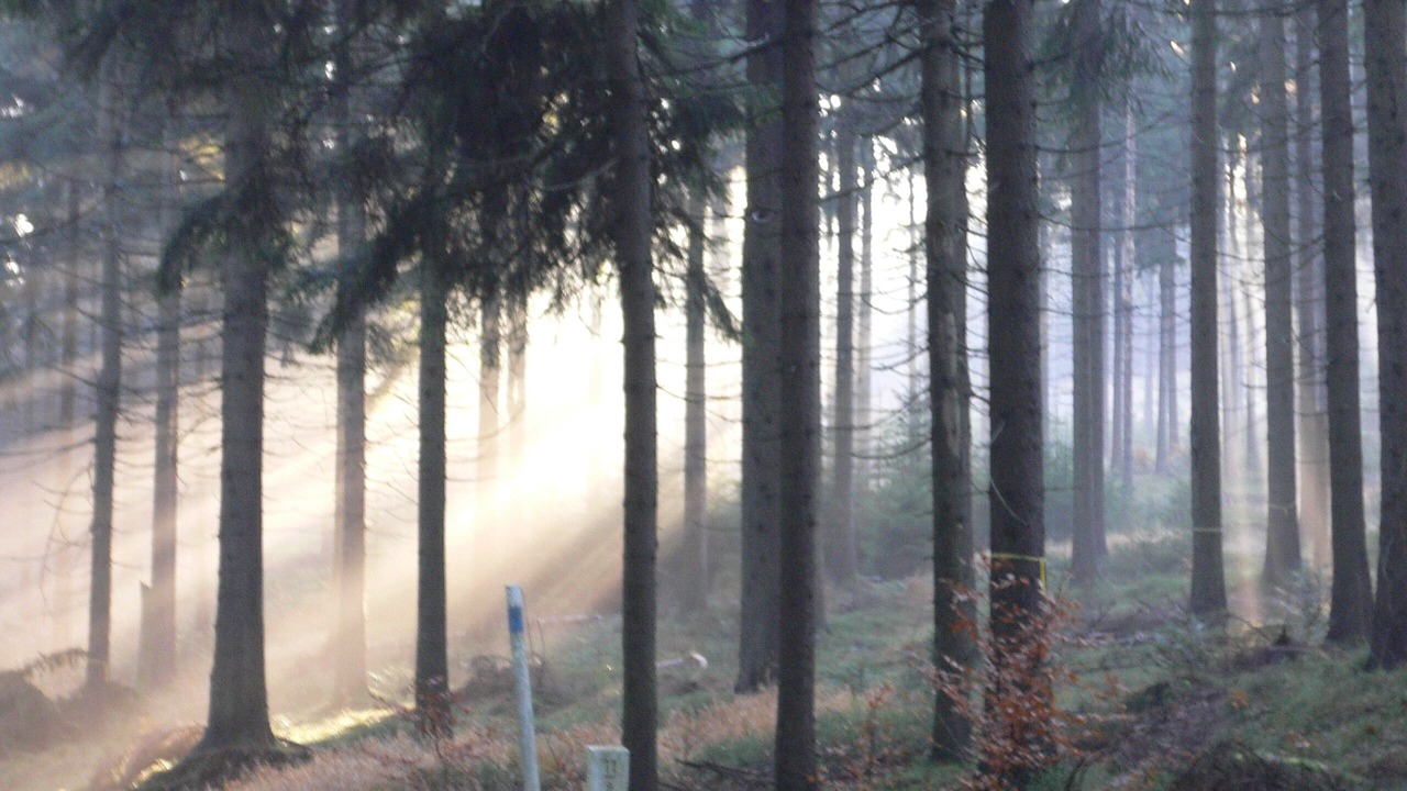 Photo of Outdoor in Barnau