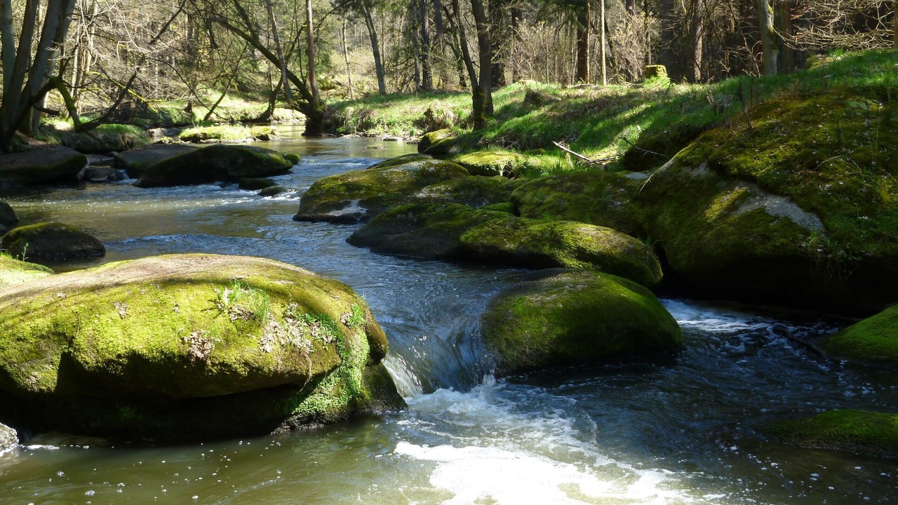 Photo of Outdoor in Barnau
