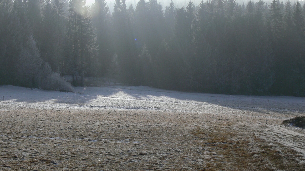 Photo of Outdoor in Barnau