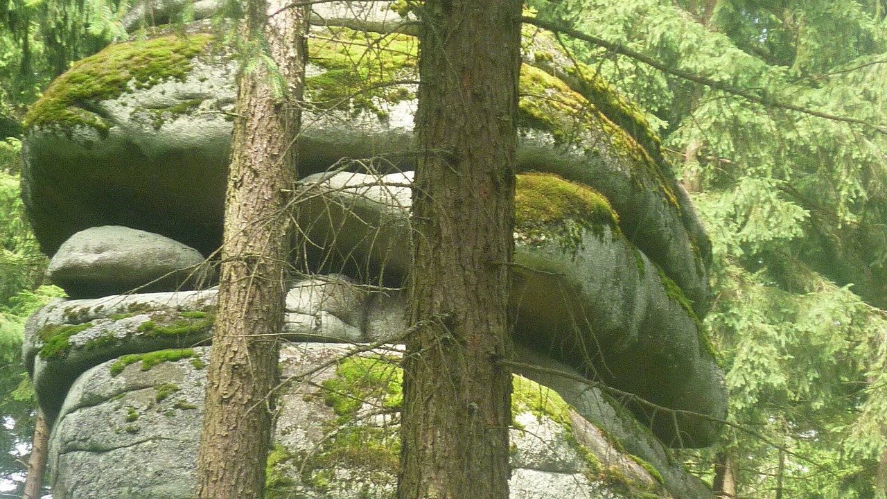 Photo of Outdoor in Barnau