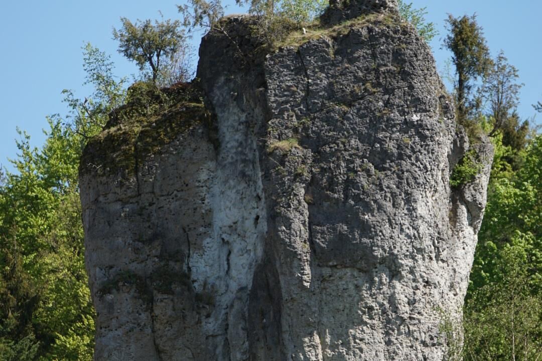 Photo of Others in Obertrubach