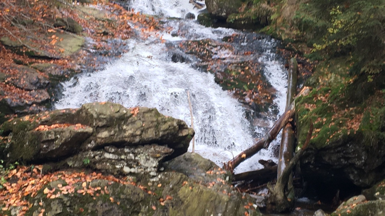 Photo of Outdoor in Zachenberg