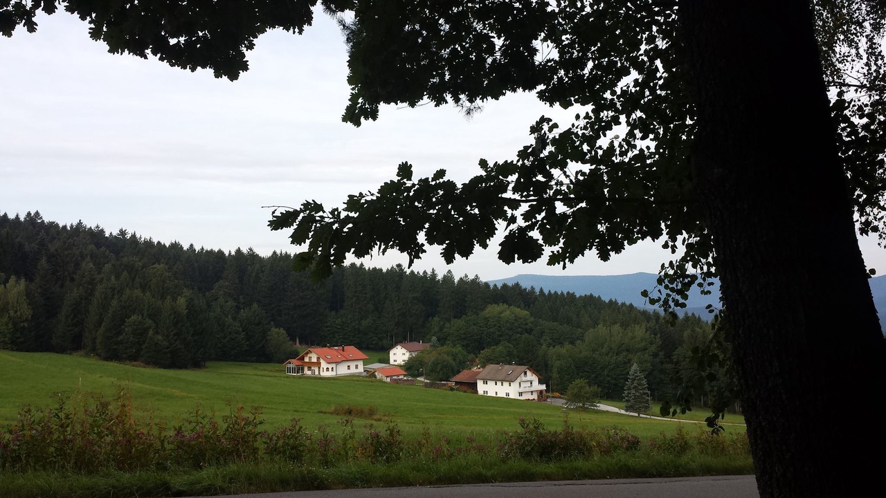 Photo of Outdoor in Zachenberg