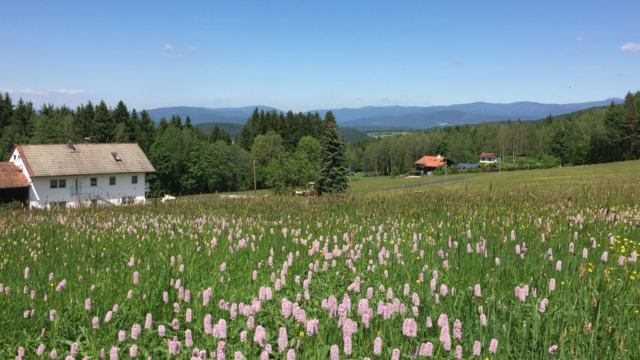 Photo of Outdoor in Zachenberg
