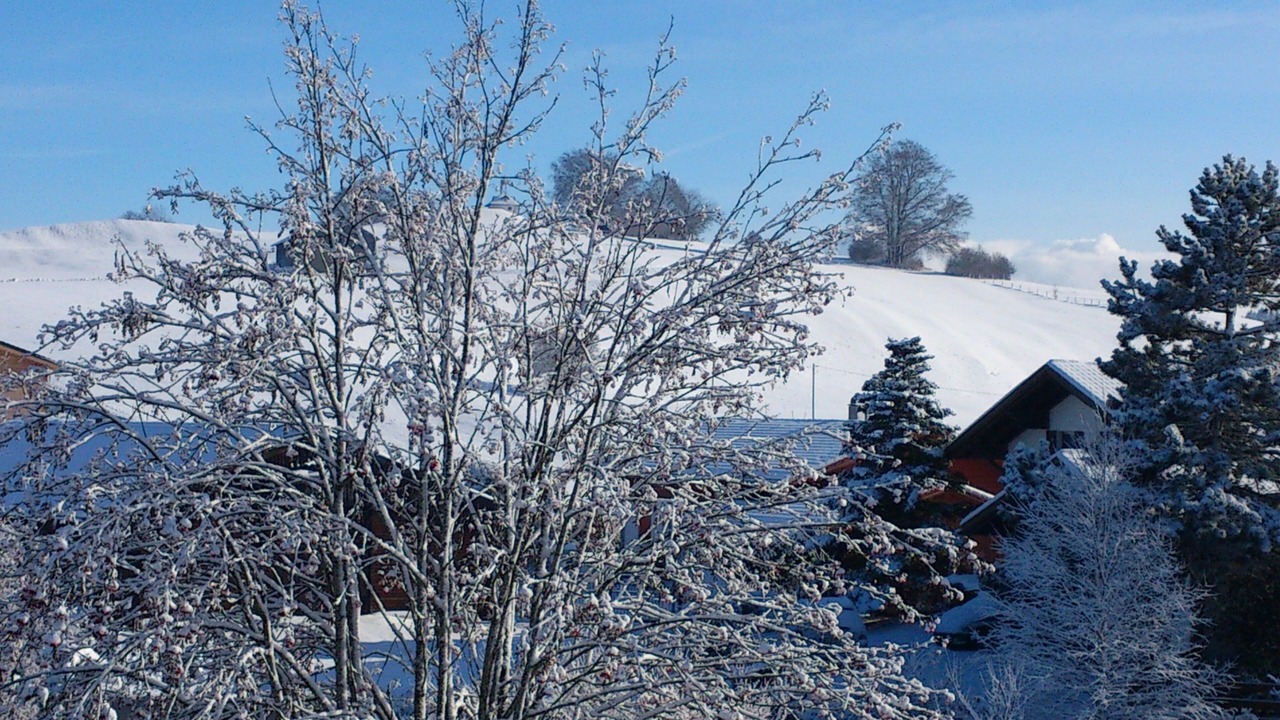 Photo of Outdoor in Gorisried
