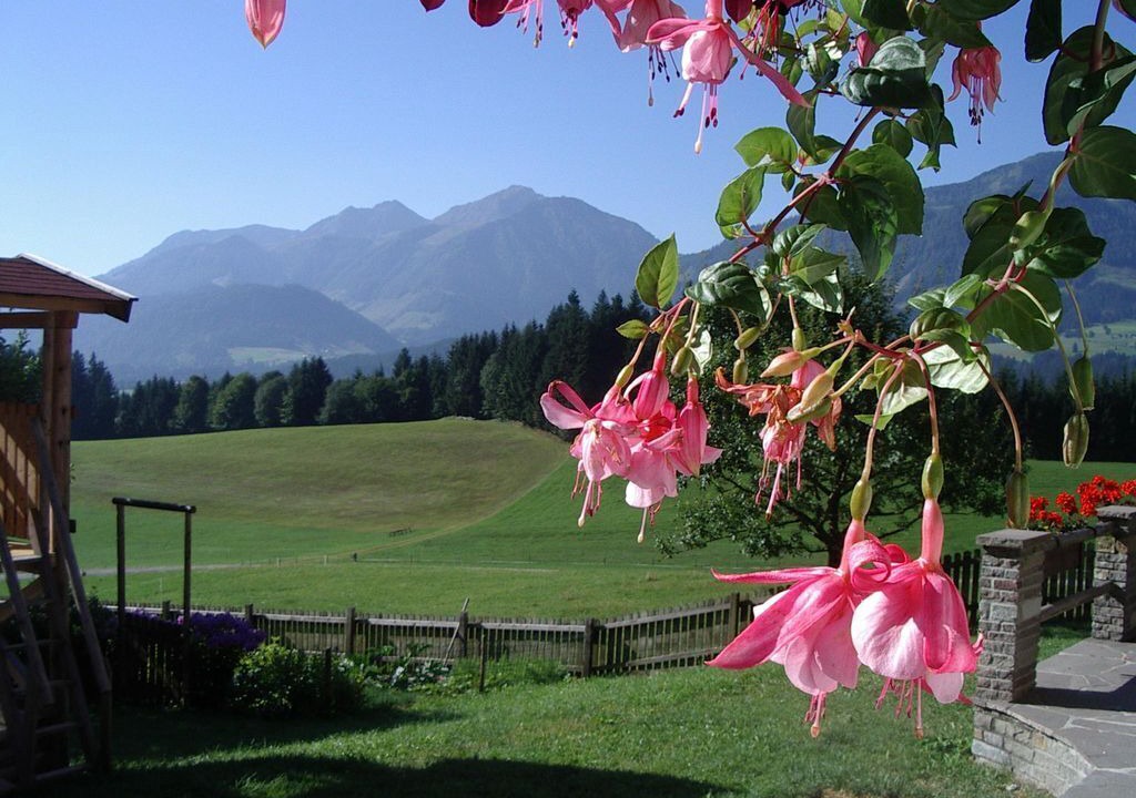 Photo of Others in Fieberbrunn