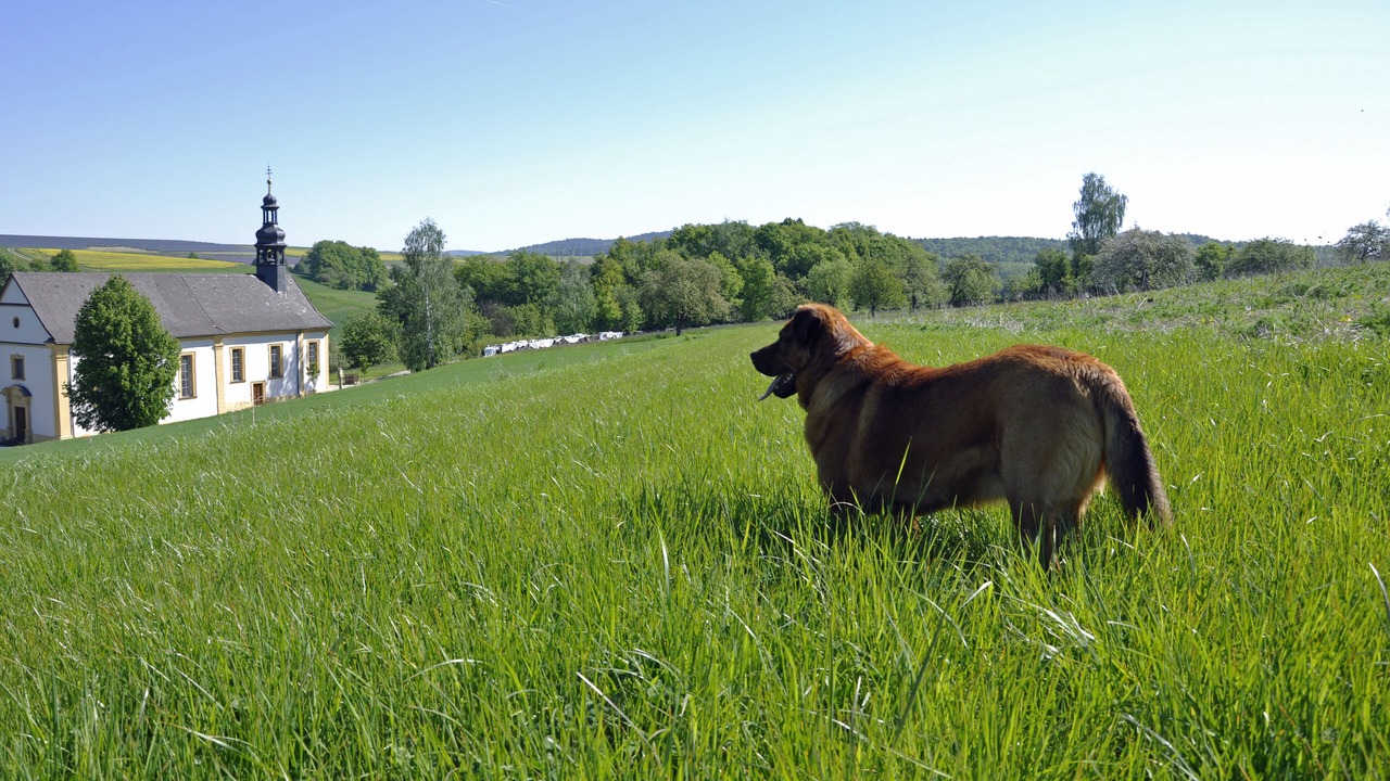 Photo of Outdoor in Muersbach