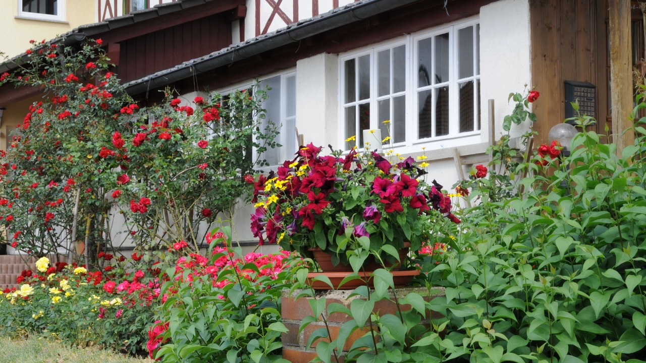 Photo of Outdoor in Muersbach