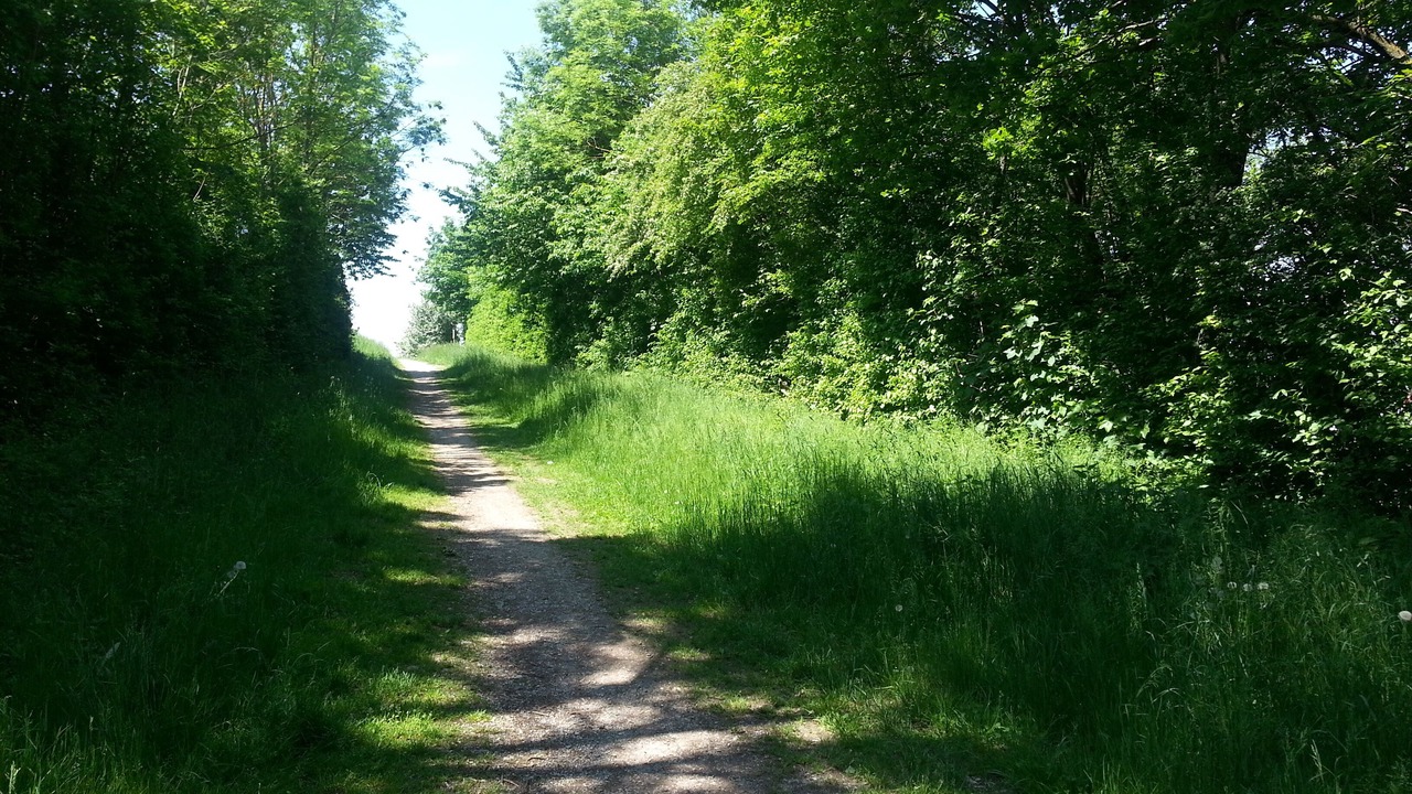 Photo of Outdoor in Neufinsing