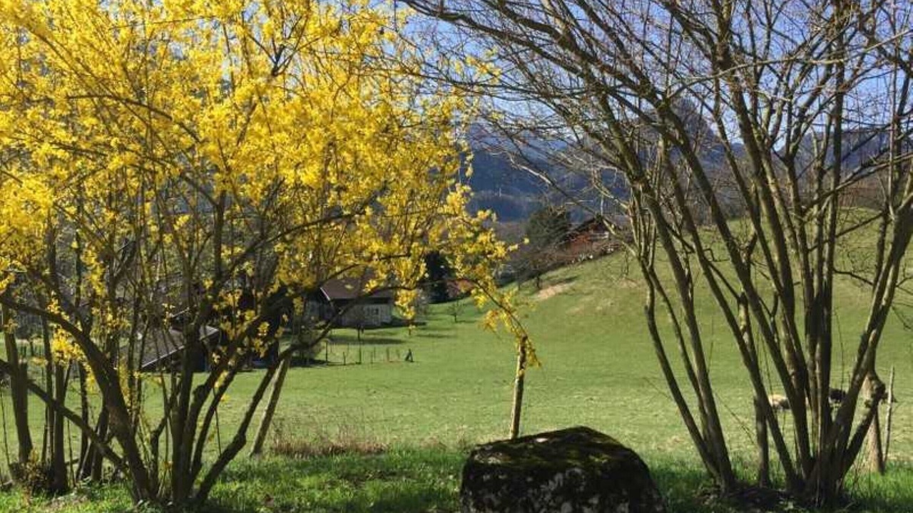Photo of Outdoor in Bad Reichenhall
