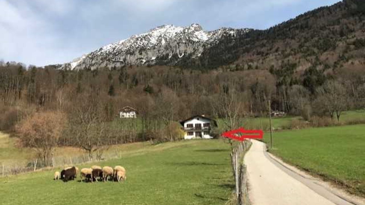 Photo of Others in Bad Reichenhall